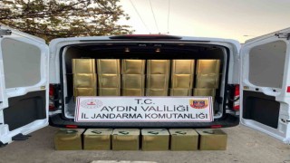 Aydında 3 ton 600 litre sahte zeytinyağı ele geçirildi