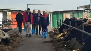 Aydında ABye ihracat onaylı çiftliklerde incelemelerde bulunuldu