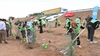 Aydında binlerce fidan toprakla buluşacak