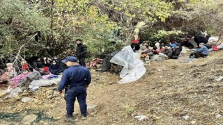 Ayvacıkta 44 kaçak göçmen ile 1 göçmen kaçakçısı yakalandı