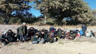 Ayvacıkta 71 kaçak göçmen yakalandı