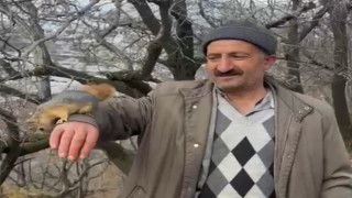 Bahçesarayın sevimli sincabı ilgi odağı oldu