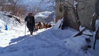 Bahçesaraylı vatandaşların zorlu kış mesaisi başladı