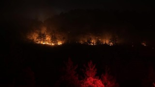 Balıkesir ile Bursa sınırındaki orman yangını kontrol altında
