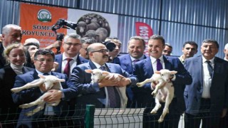 Balıkesir Tarım ve Hayvancılık Fuarı kapılarını açtı