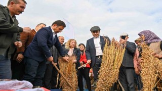 Balıkesirli susam üreticilerine büyük destek