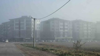 Bandırmada kara ve deniz taşımacılığında sis engeli