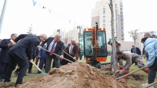Başkan Palancıoğlunun yeşil projesi: “Melikgazide fidan değil: ağaç dikiyoruz”