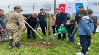 Batmanda fidan dikme etkinliği