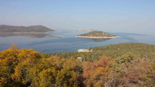 Beyşehir Gölündeki Hacıakif Adası doğa tutkunlarının ilgi odağı