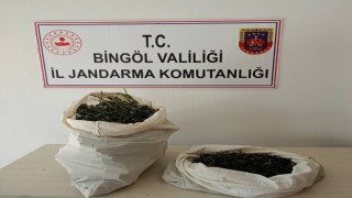 Bingölde 7 kilo esrar ele geçirildi