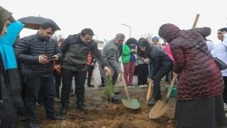 Bingölde Yatılı Bölge Okulunda 300 fidan toprakla buluştu