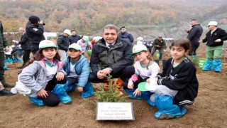 Binlerce fidan toprakla buluştu