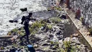 Bitliste dereye düşen kekliği vatandaşlar kurtardı
