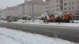 Bitliste kar yağışı: 84 köy yolu ulaşıma kapandı