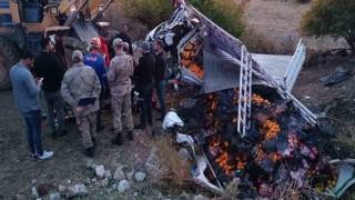 Bitliste meyve yüklü kamyonet devrildi: 1 ölü, 1 yaralı