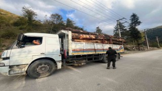 Boluda kaçak odun dolu kamyonlar yakalandı