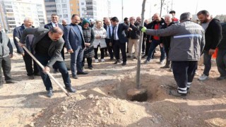 Bünyanda fidan dikim etkinliği düzenlendi