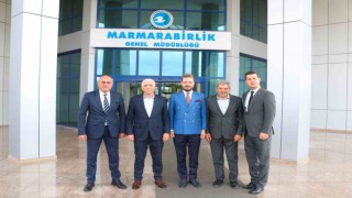 Bursa Büyükşehir Belediyesinden zeytin üreticisine destek