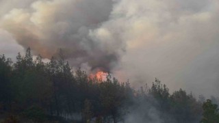 Bursada başlayan orman yangını Balıkesire sıçradı