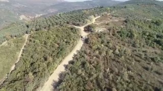 Bursada zeytin hırsızlarına dronlu denetim