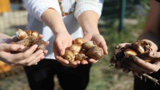Büyükşehir Belediyesinden kadın girişimcilere tarımsal destek