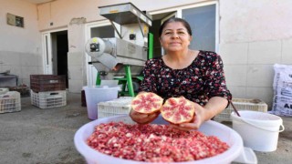 Büyükşehir Belediyesinden üreticiye Nar Taneleme Makinesi desteği