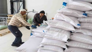 Büyükşehirden Korkutelili üreticilere 60 ton buğday desteği