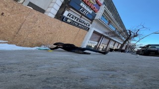 Buz pistine dönen kaldırımlarda düşen yayalar gülümsetti