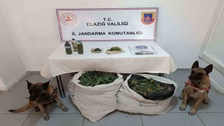 Çakmak gazıyla esrarın kalitesini arttırmaya çalışmışlar: Elazığda uyuşturucu tacirlerine darbe