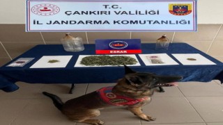 Çankırıda aranan 114 şahıs yakalandı
