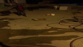 Çekmeceye giren yılan paniğe neden oldu