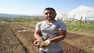 Çocukken annesiyle yaylalarda topluyordu, şimdi üreticisi oldu
