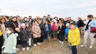 Çorluda tohumlar fidana, fidanlar Cumhuriyet çınarına dönüşüyor