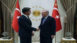 Cumhurbaşkanı Erdoğan, NATO Genel Sekreteri Rutteyi kabul etti
