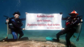 Dalgıçlardan deniz altında organ bağışı çağrısı