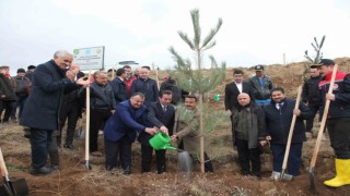 DATÜB Ahlatta ‘Hatıra Ormanı oluşturdu