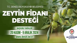 Denizli Büyükşehir çiftçilere 50 bin zeytin fidanı dağıtacak