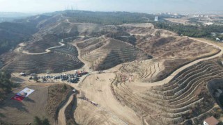 Denizlide Milli Ağaçlandırma Gününde 5 bin 916 fidan toprakla buluştu