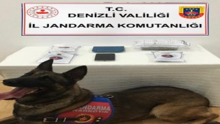 Denizlide uyuşturucu tacirlerine operasyon
