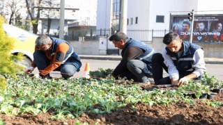 Diyarbakır 1 milyon çiçekle renkleniyor