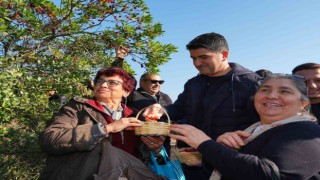 Doğaseverler 438 metre yüksekliğindeki Kayışdağı Ormanında dağ çileği topladı