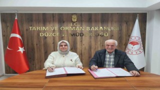 Düzce kestane balında kalite ve marka değeri için güç birliği