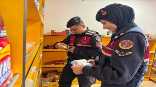 Efeler jandarmasından denetim