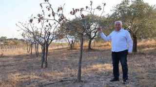 Egede kuraklık alarmı