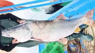 Elazığda balıkçının ağına 46 kiloluk turna balığı takıldı