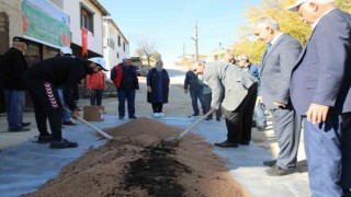 Elazığda organik mercimek üretimi artıyor