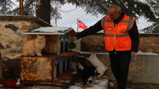 Elazığda sokak hayvanları için doğaya yem bırakıldı