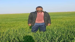 Elektrik direğinde akıma kapılan elektrikçi hayatını kaybetti