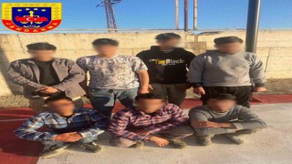 Ercişte 7 düzensiz göçmen yakalandı